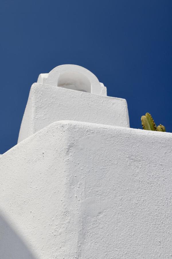 Aidos Villa Santorini Megalochori (Santorini) Exterior foto